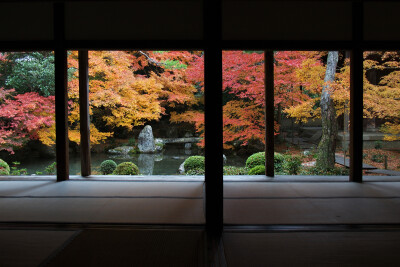 蓮華寺の秋@京都 不是很有名的一个禅寺 而且比较远 但是却更能体会到宁静安详的禅之道啊