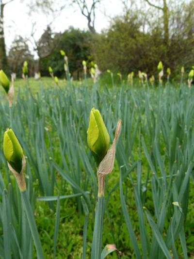 他朝两忘烟水里