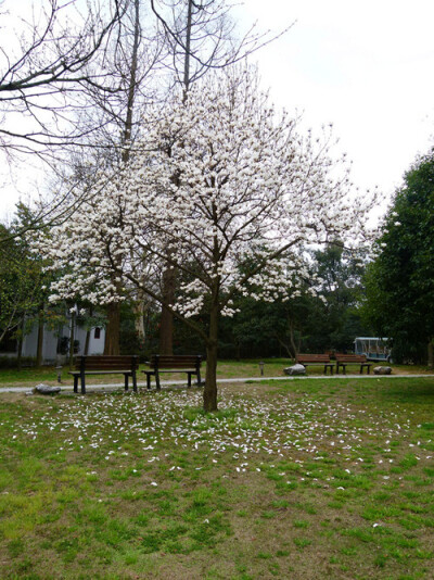 他朝两忘烟水里