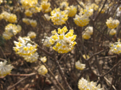 他朝两忘烟水里