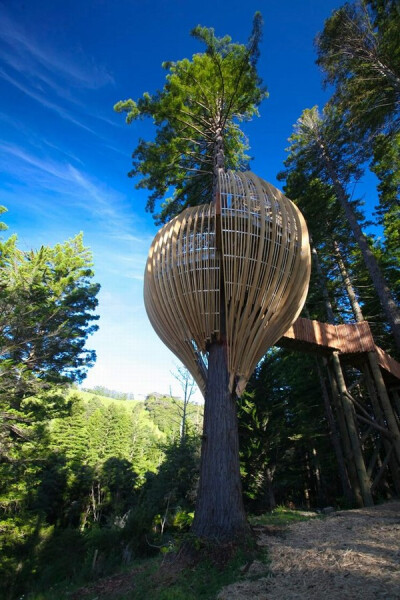 “树灯笼餐厅”（Yellow Treehouse Restaurant）的概念起始于一块让人陶醉的场地，建筑从一个开放的草坪升起，蜿蜒深入树林的边缘。树屋的概念让人回忆起儿时的梦想，玩耍的时光，关于魔法的童话故事和联想。