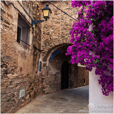 漂亮的三角梅，干净的旧街道，异国风情啊！！！