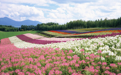 Hokkaido