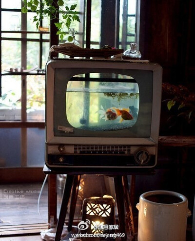 老电视做的鱼缸。这废物利用，无敌了。