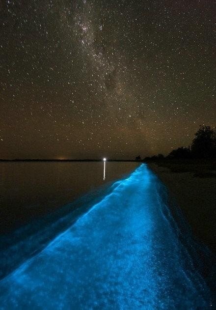 沖繩島的神奇夜光海沙。 。。 ~