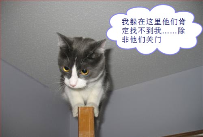 好危险的说。。。