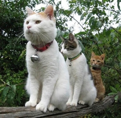 前边堵车了么？