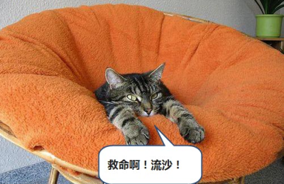 什…么…情…况…