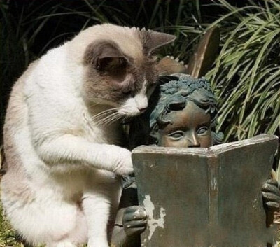 喂喂！这一页都看了半小时了 你倒是翻啊！