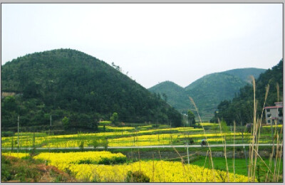 周末回家 门前田园风景