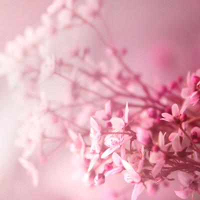 女人最大的骄傲不是她的长相有多出众，而是她的男人有多疼她。