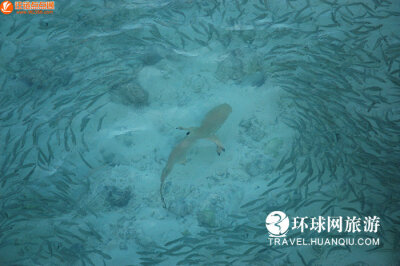 风景名胜高清图 马尔代夫蜜月之旅