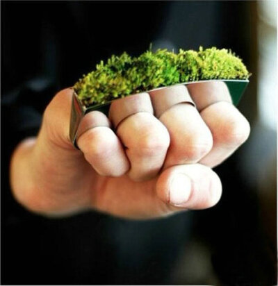 植物与珠宝间的跨界合作