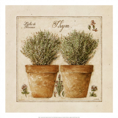 Herbes de Provence, Thym