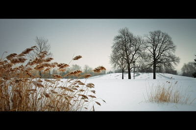 蒙特利尔 - PARC Ahuntsic