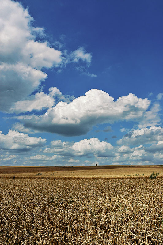 法国 - ETE 2005 - Fricourt