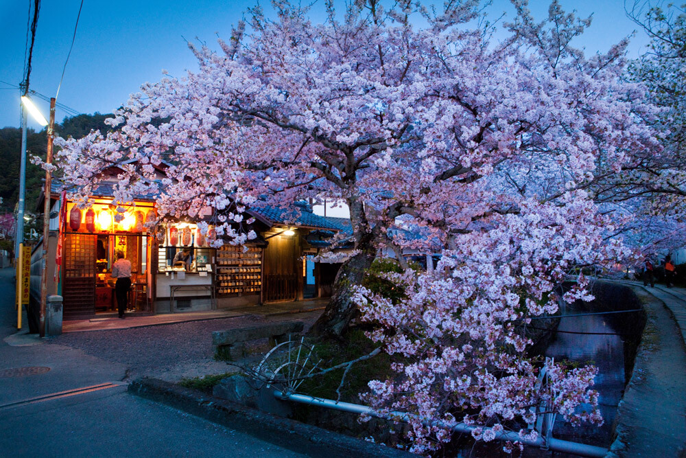 京都