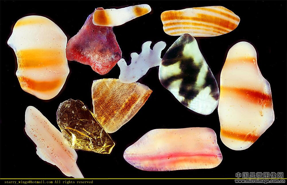 来自鼓浪屿的沙子，玛瑙般的花纹。鼓浪屿的沙子颗粒较大，打磨度很低，正如图中的那个黄色透明矿物。其间有不少各色软体动物的残骸，打磨得很好，圆润如同美玉。