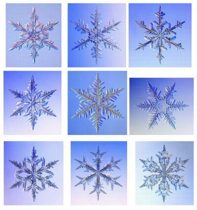 世上没有两朵相同的雪花 雪花的照片来自Kenneth Libbrecht，一位美国物理学教授，据他研究如果天气不够冷雪花不会出现太好看的结晶。
