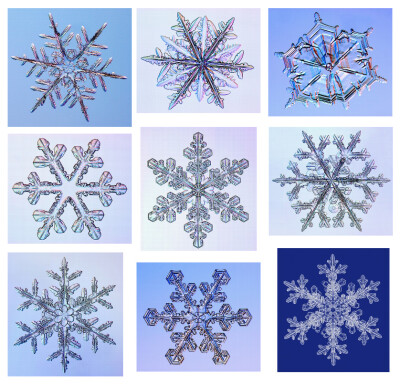 世上没有两朵相同的雪花 雪花的照片来自Kenneth Libbrecht，一位美国物理学教授，据他研究如果天气不够冷雪花不会出现太好看的结晶。