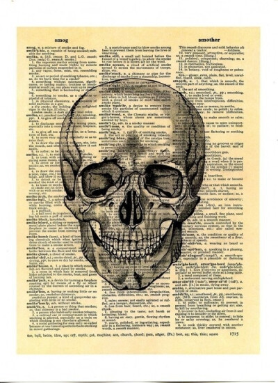 ᏪSKULLᏪ