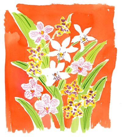 orchid_orange