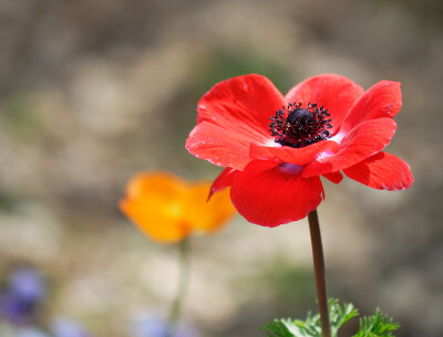 Photograph nikon red by Kwon Hyuk Ree on 500px