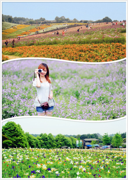 石象湖七彩花田，感受北海道风情。可以很美
