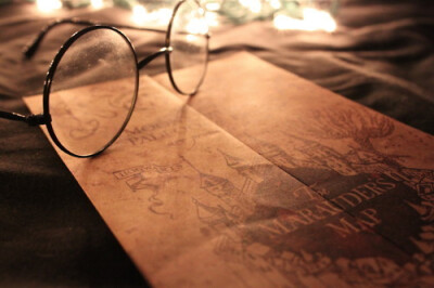 活点地图（The Marauder's Map）是英国女作家J.K.罗琳的系列小说名《哈利·波特》及其衍生作品（如电影等）中的一幅魔法地图。用咒语开启地图的魔法后，活点地图上浮现出一张霍格沃茨的地图（包括秘密通道），还有霍…