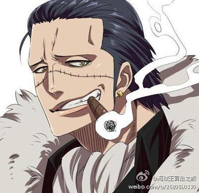 想守护的东西就好好守住，别再让那些家伙得逞了！！！”——克洛克达尔