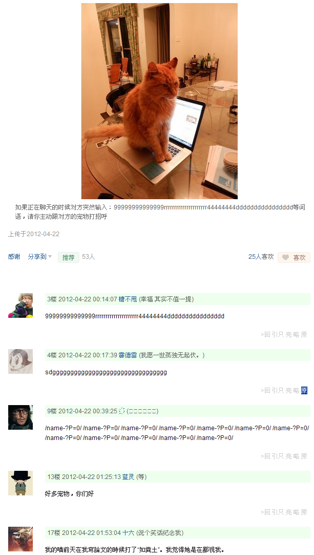 高贵的猫星人