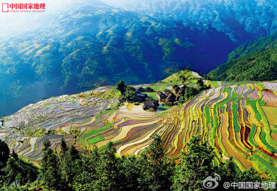 http://ww1.sinaimg.cn/large/48d84e6fjw1ds8rgd3wraj.jpg 中国国家地理·苗族梯田