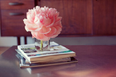 把你留在我的文字上