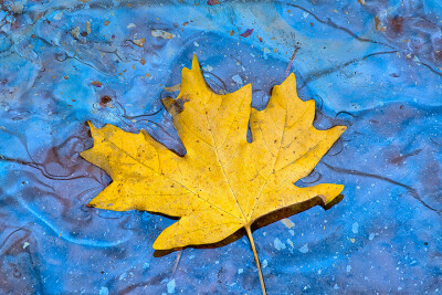 Photograph Decay by Justin Reznick on 500px