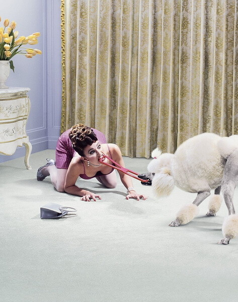 尽是一些有意思的图片。