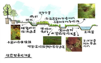 生态型景观河道断面形式示意