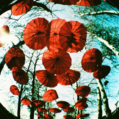 Lomography Diana F+