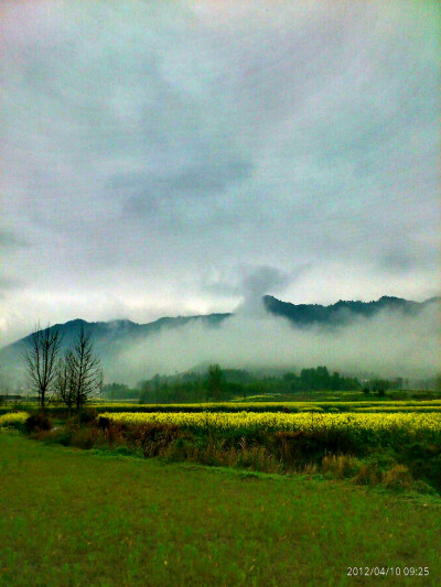 风景如画 还是画如风景