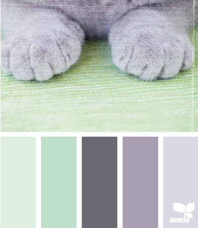 paw tones