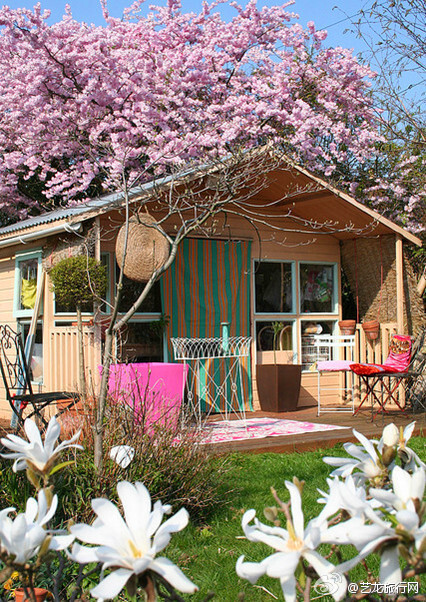 有间小屋，繁花似锦