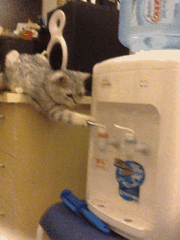 饮水机
