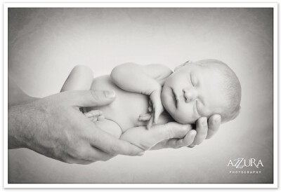 Adorable Bellevue Baby Portrait