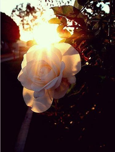 说好一辈子，少一年，一个月，一天，一个时辰，都不算得一辈子。