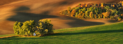 Photograph Autumn Painted by Tortoiseshell... by Pawel Kucharski on 500px