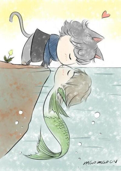 猫&鱼