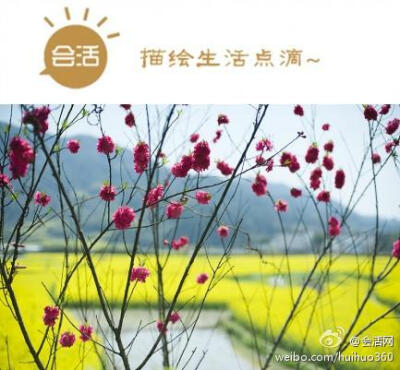 大美徽州，会活网见！http://www.huihuo360.com/