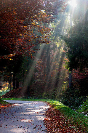 　我想给你幸福，却走不进你的世界。我想用我的全世界来换取一张通往你的世界的入场券，不过，那只不过是我的一厢情愿而已。我的世界，你不在乎；你的世界，我被驱逐。我真的喜欢你，闭上眼，以为我能忘记，但流下的眼泪，却没有骗到自己。