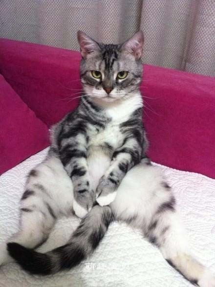 不带拍人隐私的，我捂住