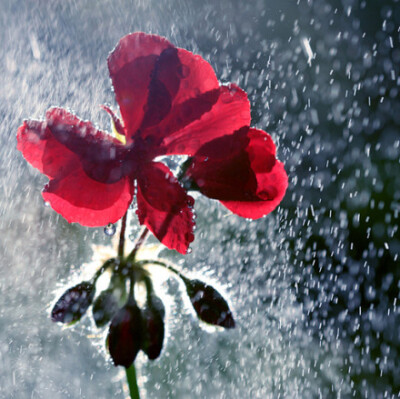 生活，不是在等暴风雨过去，而是在暴风雨中学会跳舞。