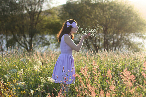 唯美浪漫花海里